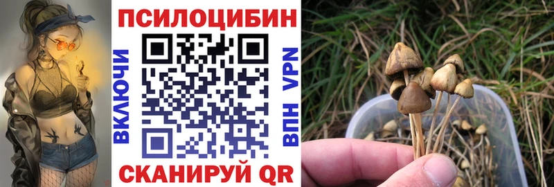 Псилоцибиновые грибы Cubensis Усть-Катав